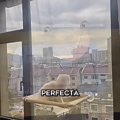 CAMA PARA GATOS TIPO HAMACA COLGANTE